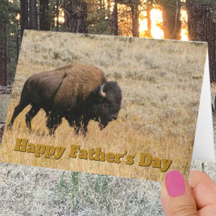 Father's Day Bison In Prairie Grass Photo Template