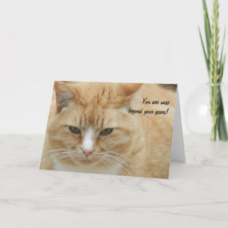 Father's Day Card