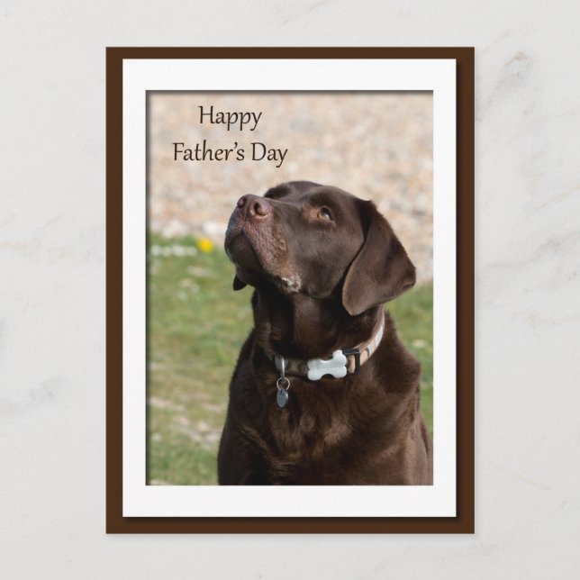 Father's Day Chocolate Brown Labrador Dog Postcard (Front)