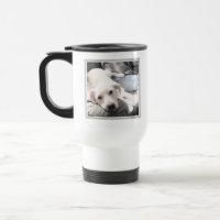 Father's Day Cute Puppy Dog Near Dad Photo