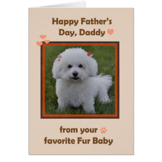 Fathers Day Daddy from Bichon with photo Frame