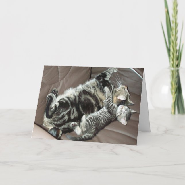 Father's Day kitty card (Front)