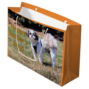Father's day large gift bag