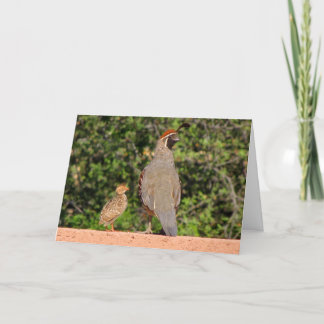 Fathers Day Quail~ Kimberly P-Chadwick Card