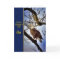 Father's Day Son - Bald Eagle