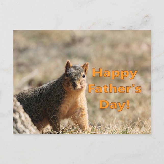 Father's Day squirrel Postcard (Front)