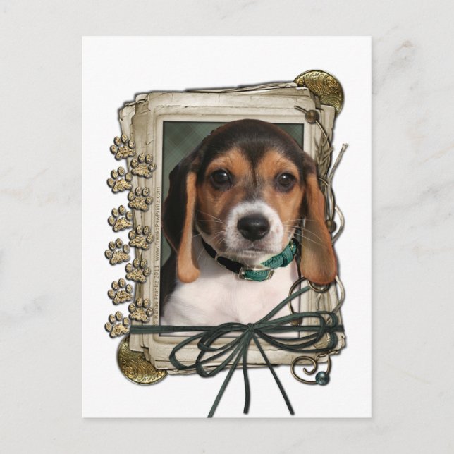 Fathers Day - Stone Paws - Beagle Puppy Postcard (Front)