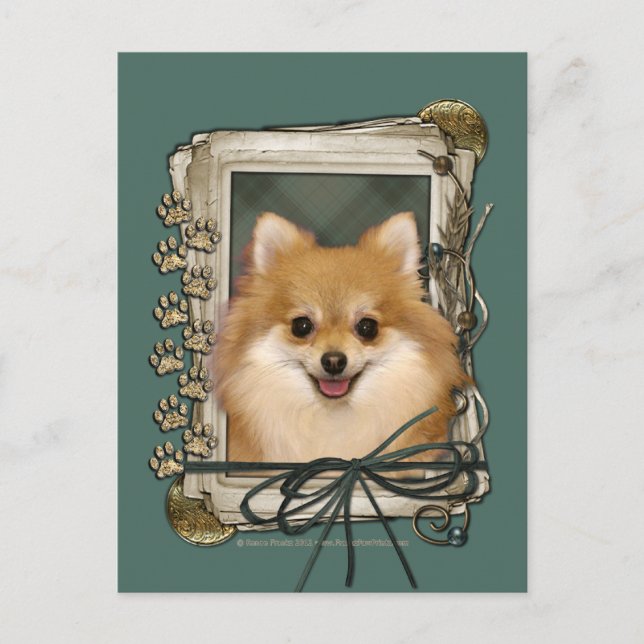 Fathers Day - Stone Paws - Pomeranian Postcard (Front)
