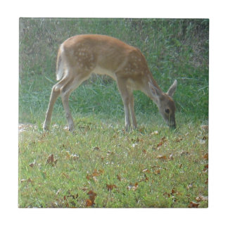 faun, baby deer at Lake Arrowhead Tile