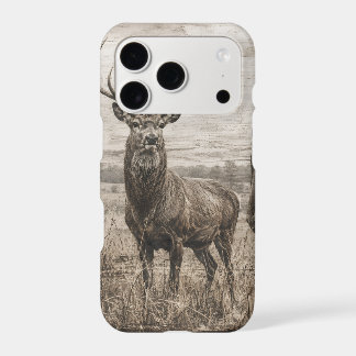 Faune