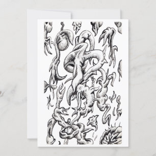 Faune aéroportée, Carte Plat