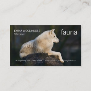 Faune - carte de visite arctique de loup