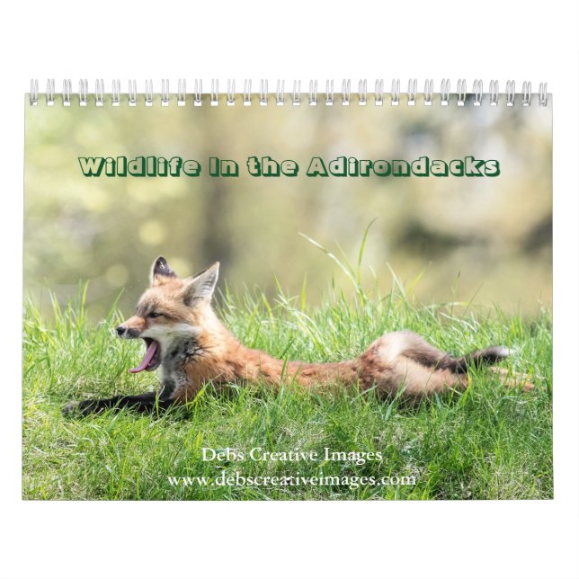 Faune dans les Adirondacks Calendrier 2026 (Protection)