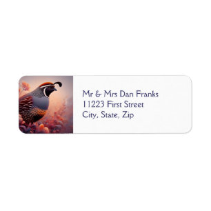 Faune Nature California Quail Bird