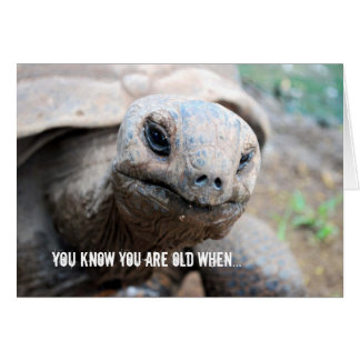 Faute de mémoire de tortue géante