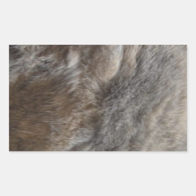 Faux Cat Fur look Sticker (Front)
