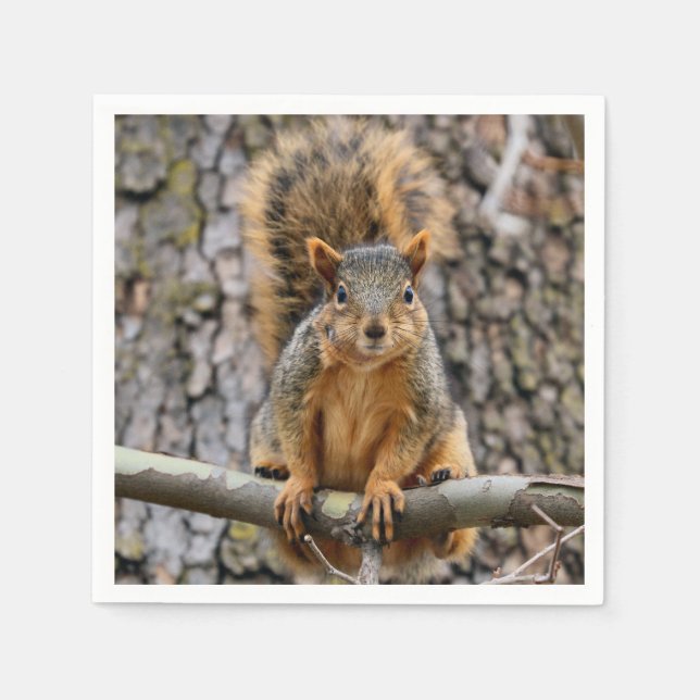 Faux fox squirrel napkin (Front)