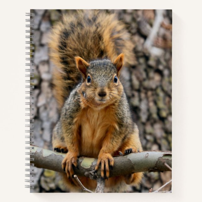 Faux fox squirrel notebook (Front)