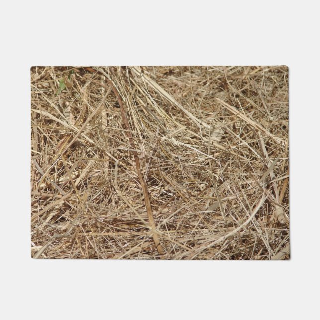 Faux Straw Doormat (Front)
