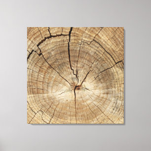 Faux Tree Rings Background Canvas Print