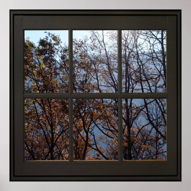 Faux Window Illusion Poster 24x24 Black (Front)
