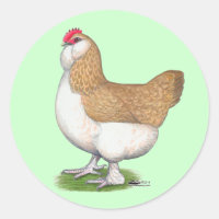 Faverolle Hen