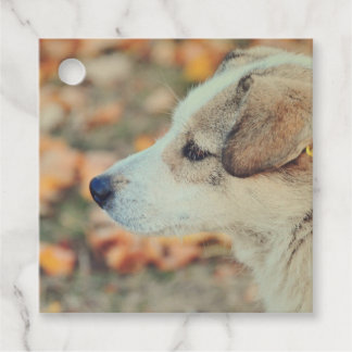 Favoriser les étiquettes modèle paysage