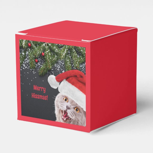 Favour Box, Merry Hissmas  Favor Box (Front Side)
