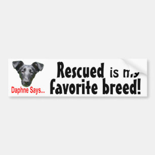 Favourite breed bumper sticker