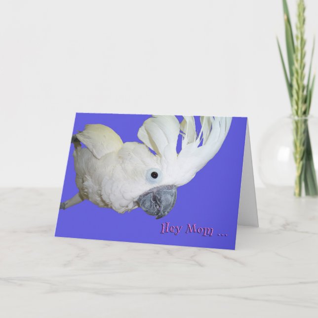 Favourite Card (Front)