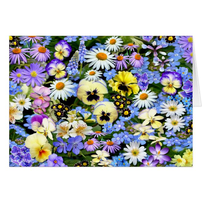 Favourite Flowers (Front Horizontal)