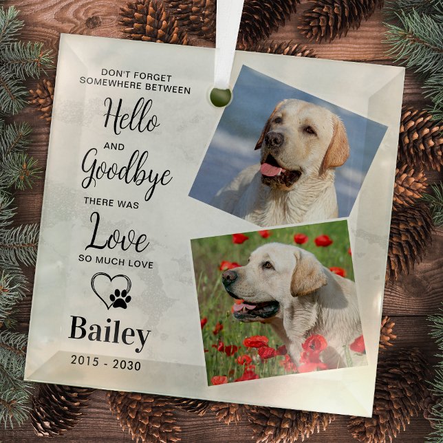 Favourite Hello Custom 2 Photo Dog Pet Memorial Glass Ornament (Creator Uploaded)