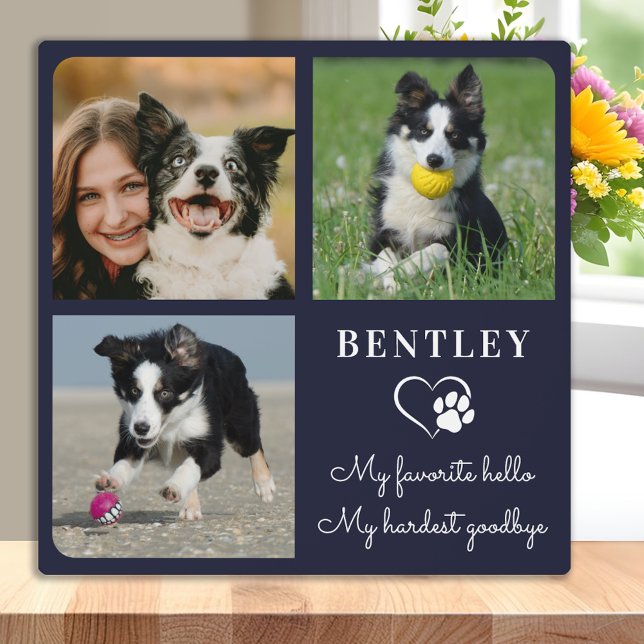 Favourite Hello Custom Pet Dog Memorial 3 Photo Plaque (Creator Uploaded)