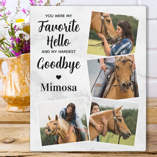 Favourite Hello Hardest Goodbye Custom Pet Memoria Plaque (Creator Uploaded)