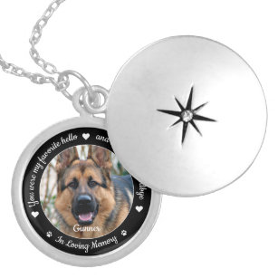 Favourite Hello Hardest Goodbye Photo Pet Memorial Locket Necklace