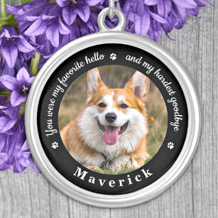 Favourite Hello Hardest Goodbye Photo Pet Memorial Silver Plated Necklace