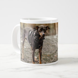 Favourite Pet Photo Personalized Dog Cat Portrait Large Coffee Mug