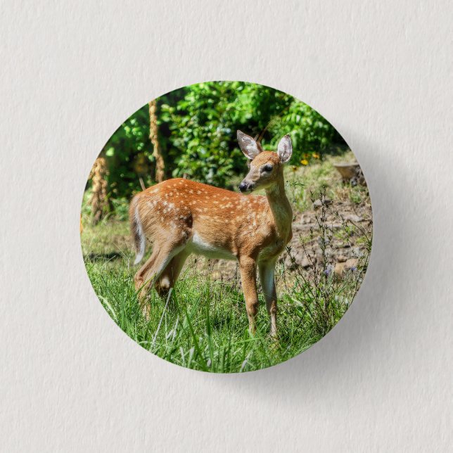 Fawn  1 inch round button (Front)