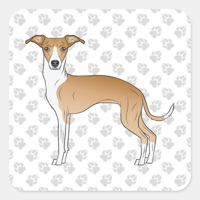 Fawn And White Italian Greyhound With Paws Square Sticker (Front)