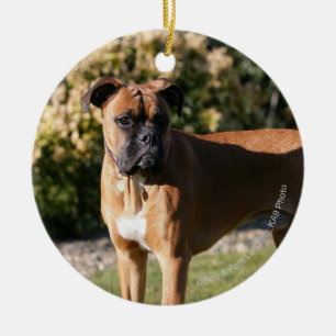 Fawn Boxer Dog Standing Ceramic Ornament