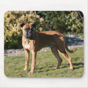 Fawn Boxer Dog Standing Mouse Pad