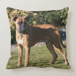 Fawn Boxer Dog Standing Throw Pillow