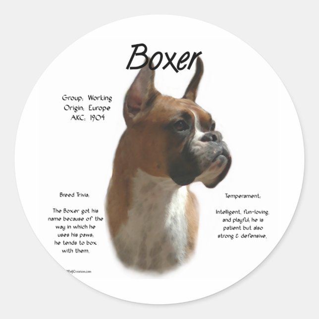 Fawn Boxer History  Classic Round Sticker (Front)