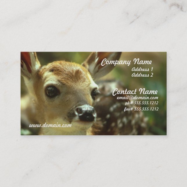 Fawn Business Card (Front)