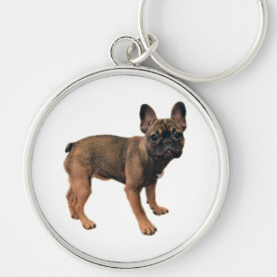 Fawn Coloured French Bulldog Puppy T-Shirt Keychain