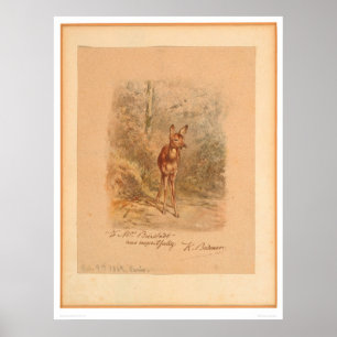 Fawn in Forest (0567A) Poster