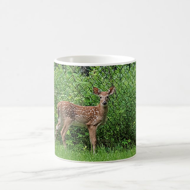 Fawn in front of a fence coffee mug (Center)