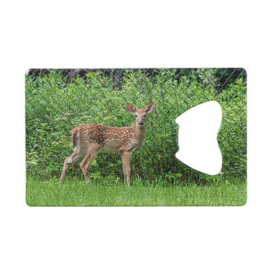 Fawn in front of a fence credit card bottle opener
