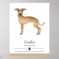 Fawn Italian Greyhound Cute Dog With Custom Text