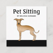 Fawn Italian Greyhound Dog - Pet Sitting Services